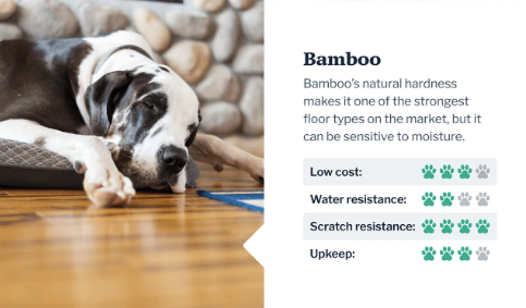 pet flooring guide bamboo