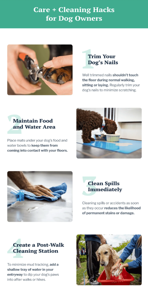 pet flooring guide 6