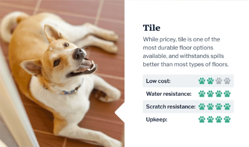 pet flooring guide tile